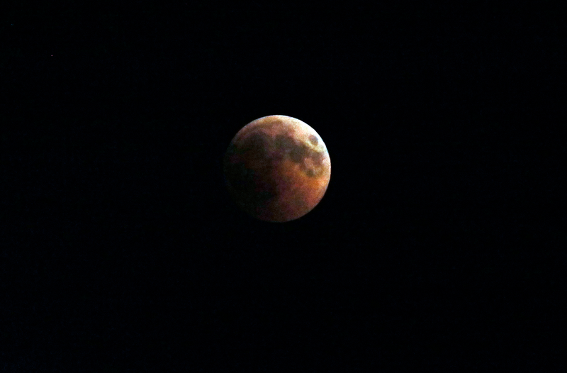 Illustration for article titled Así se vio el eclipse lunar total en distintos rincones del mundo